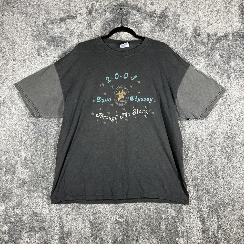 Vintage Hanes Shirt Mens XL Black Heavyweight Dane Odyssey Graphic 2001 2000s